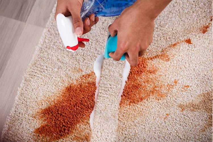 healthy home carpet repair2