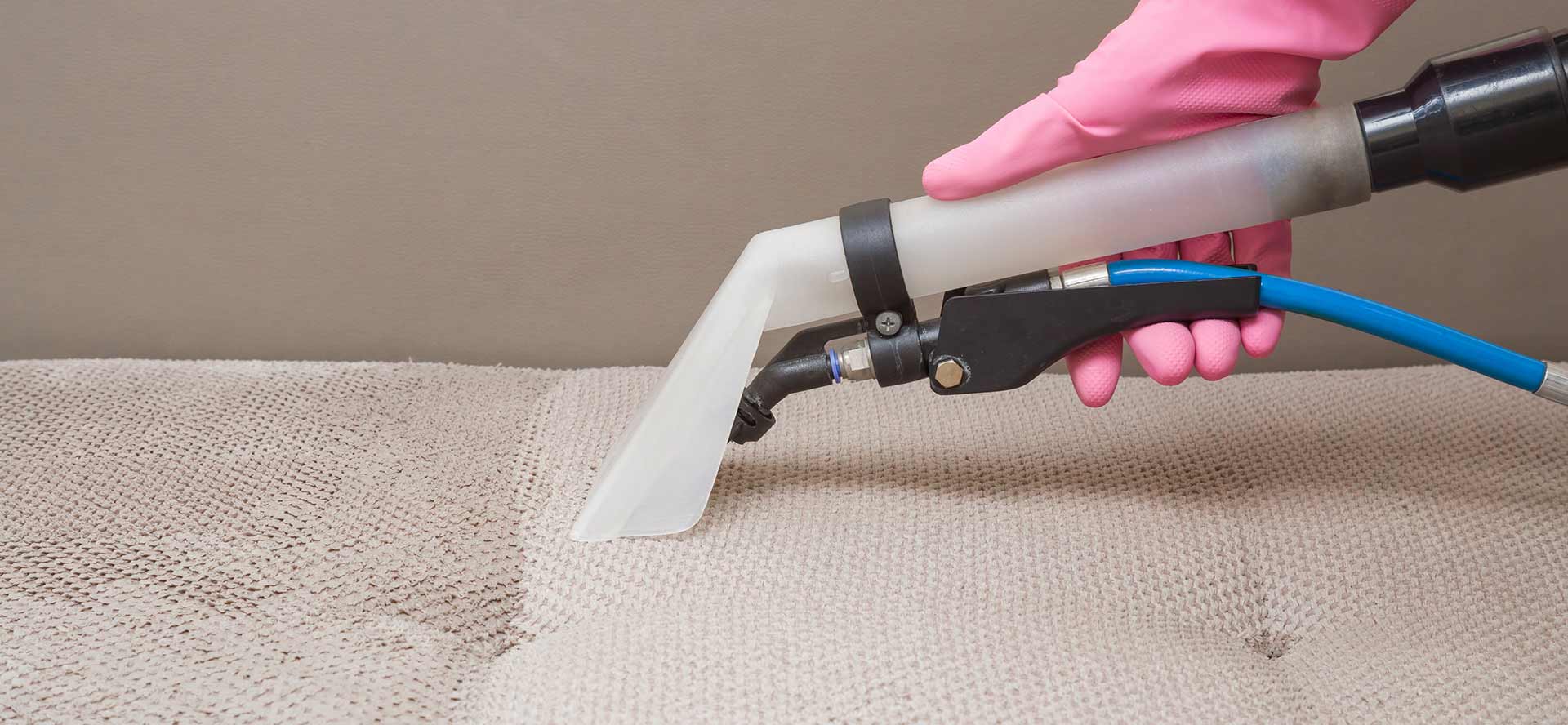 healthy home upholstery cleaning deep hot water extraction couch